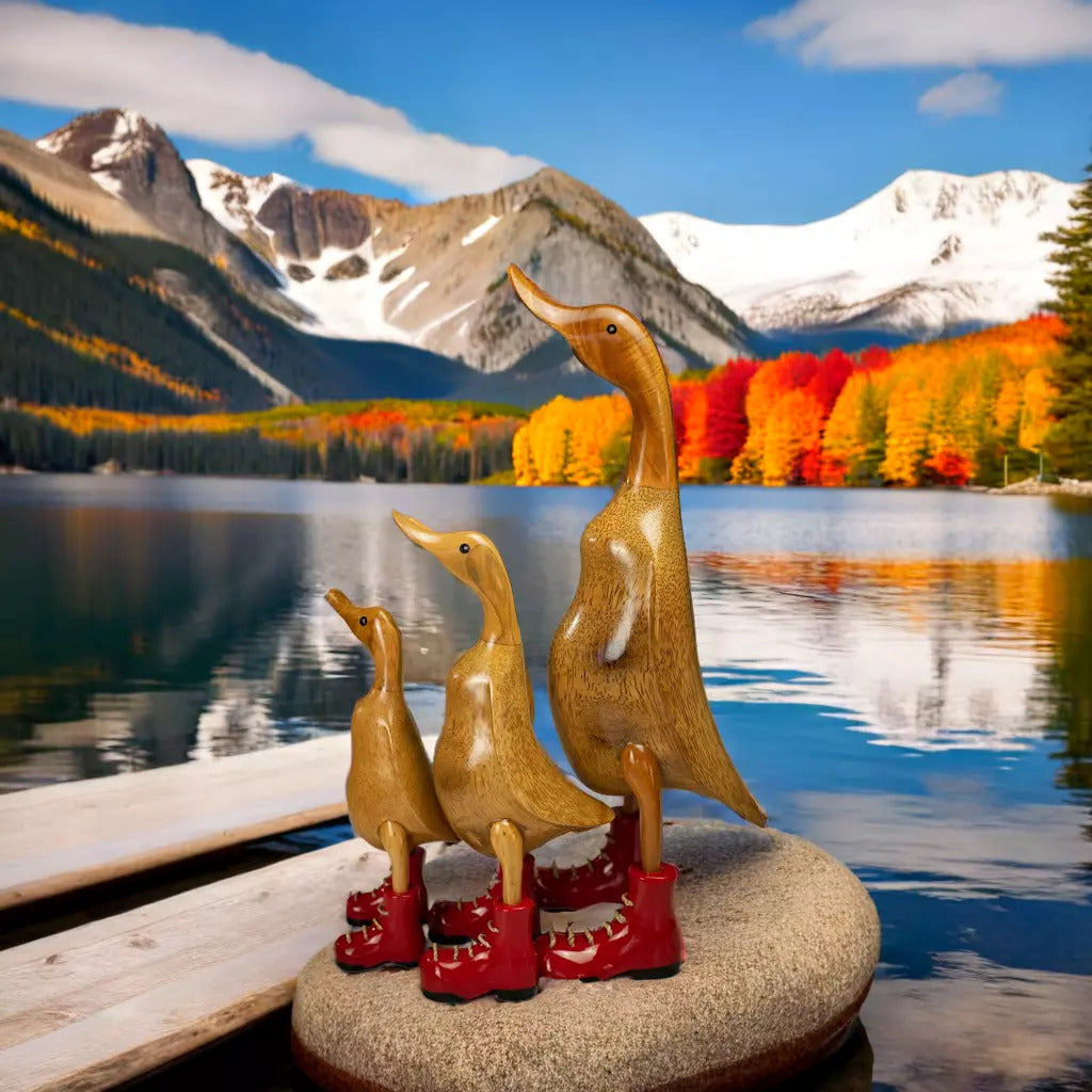 Country Ducks Set of 3 Red Boots