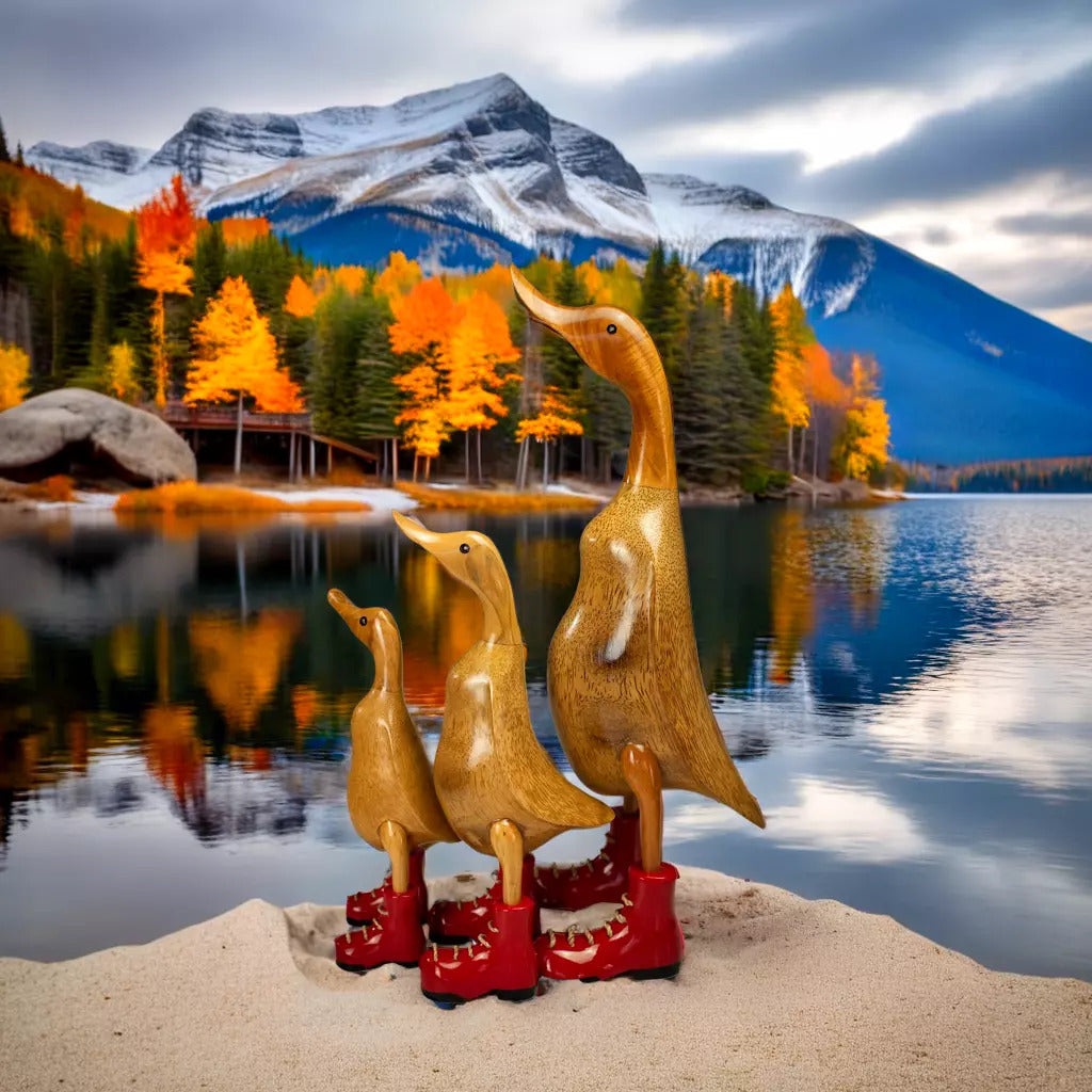 Country Ducks Set of 3 Red Boots